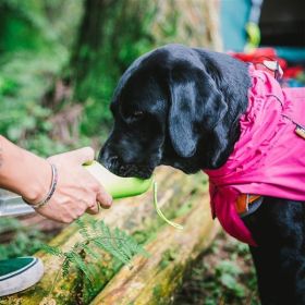 Dog Coats Small Waterproof,Warm Outfit Clothes Dog Jackets Small,Adjustable Drawstring Warm And Cozy Dog Sport Vest-(pink, size L) - as picture