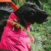 Dog Coats Small Waterproof,Warm Outfit Clothes Dog Jackets Small,Adjustable Drawstring Warm And Cozy Dog Sport Vest-(pink, size L) - as picture