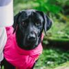 Dog Coats Small Waterproof,Warm Outfit Clothes Dog Jackets Small,Adjustable Drawstring Warm And Cozy Dog Sport Vest-(pink, size L) - as picture
