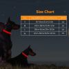 LED Dog Collar USB Rechargeable Adjustable Dog Safety Collar Night Safety Flashing Luminous Light up Collar - Green - S